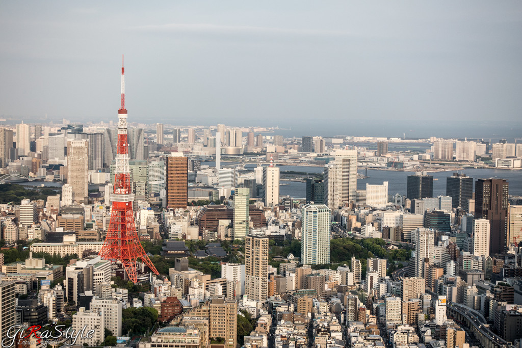tokyo-tower-from-roppongi-hills