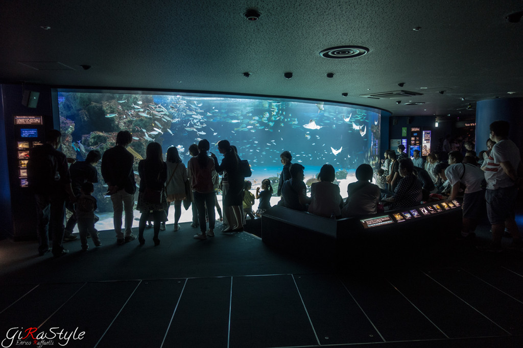 interno-acquario-tokyo